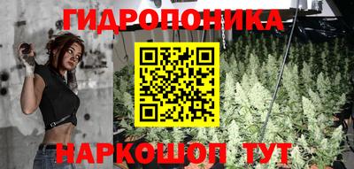 гидропоника Краснознаменск