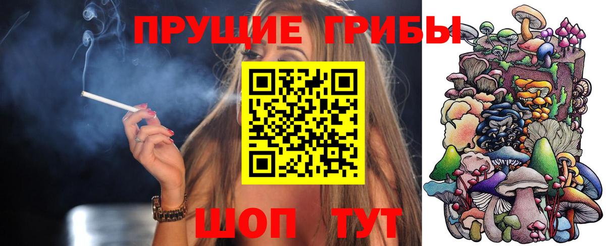 Галлюциногенные грибы прущие грибы  Вход с VPN  Камышлов 